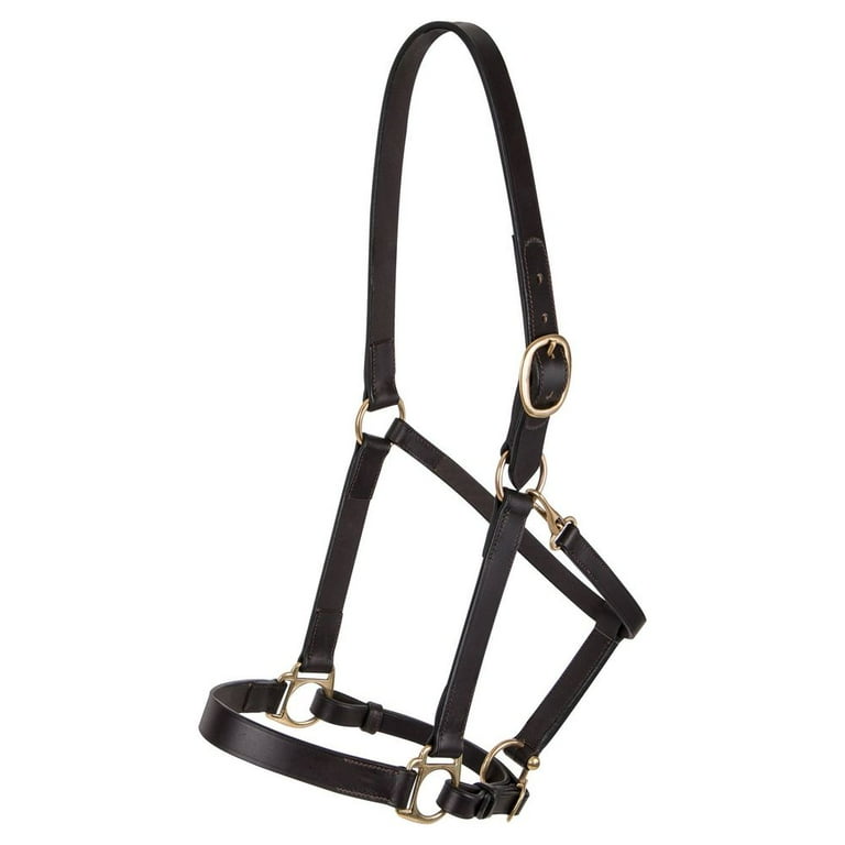Dura-Tech-Premier-Buffalo-Leather-Horse-Halter-Style-Lancaster-Cob-Size_6e0a4acc-2819-4acd-8927-701632ef2515.bd2b029c0ea9205d747efba38452f416
