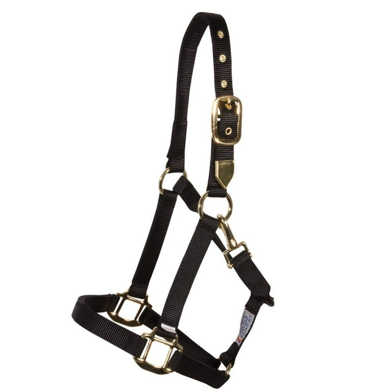 Dura-Tech-Triple-Ply-Nylon-Horses-Halter-with-Brass-Grommets-Black-Yearling-Pony_fec914fe-e6e2-4989-b0fd-f786aca1ec58.5bd4c81a7fffb75fd8b40bcdb576ee95